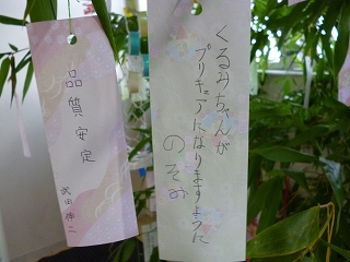 13071214