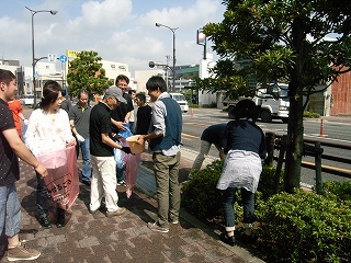13071619