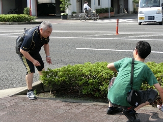 13071621
